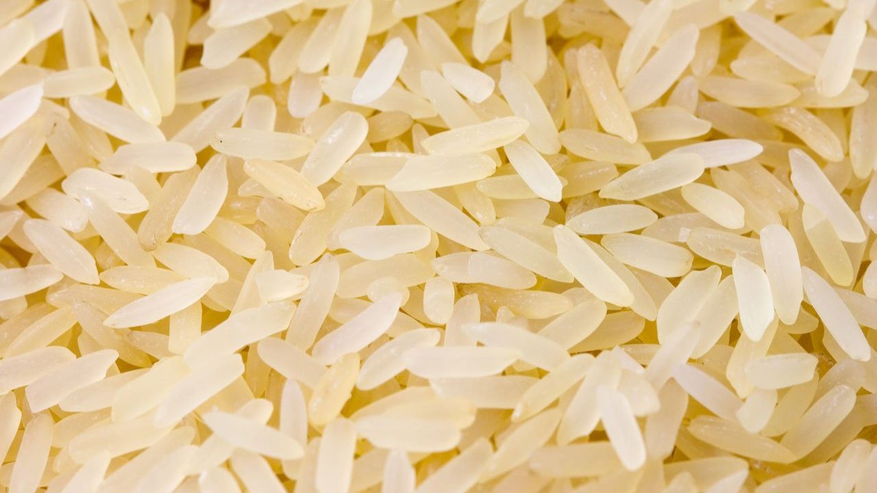 domowe sposoby na mole ryż