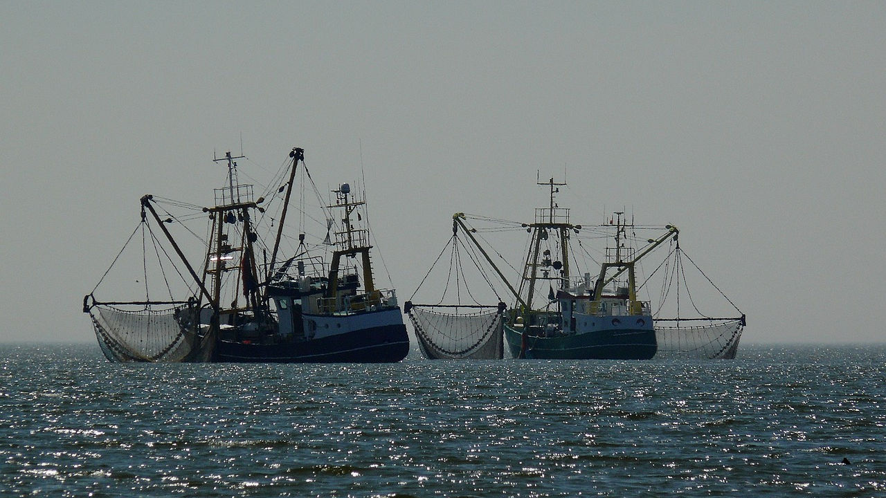 Rybactwo i Morze