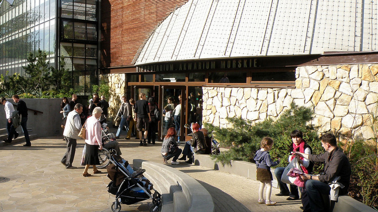 zoo