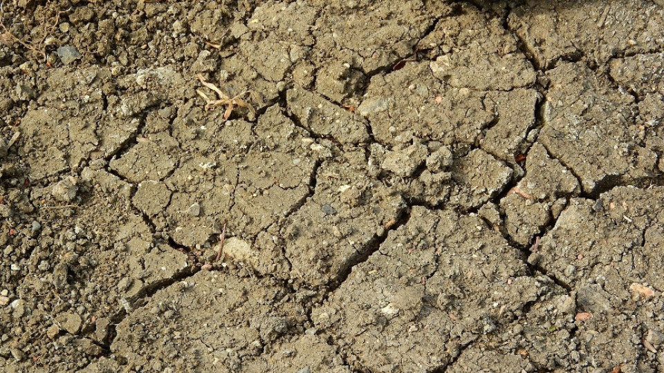 ograniczenie skutkow suszy gleba