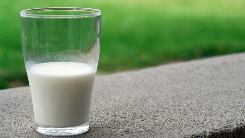 Sektor przetwórstwa mlecznego mleko