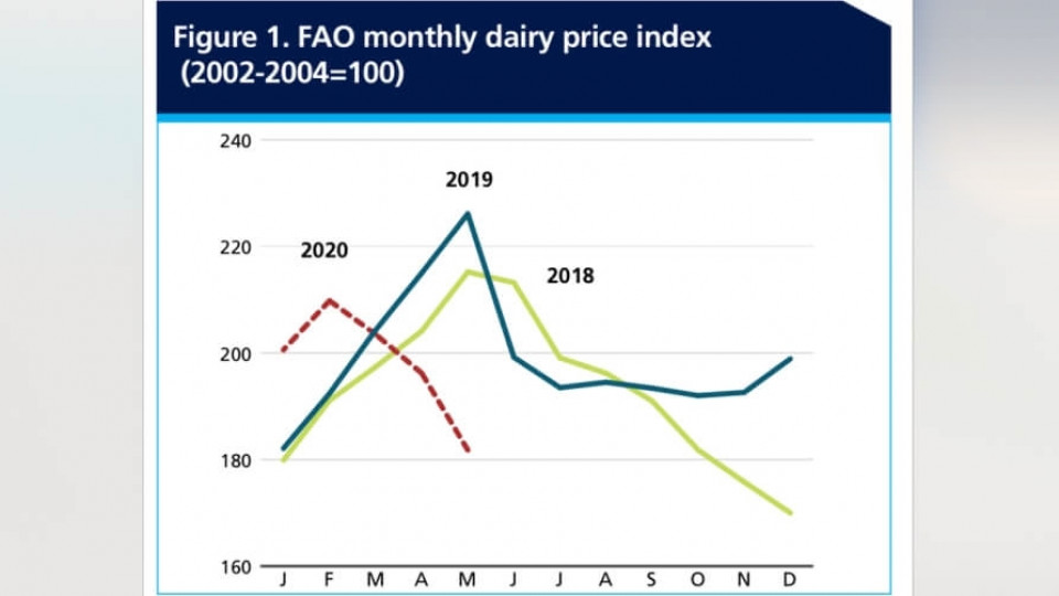 fao ceny mleka 2020 2