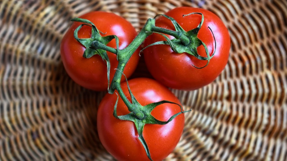 ceny pomidorów Ukraina