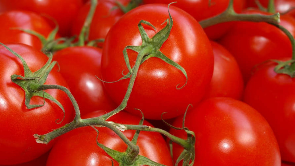 Ceny pomidorow 02