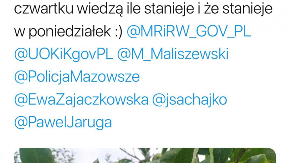 podatek cukrowy maliszewski