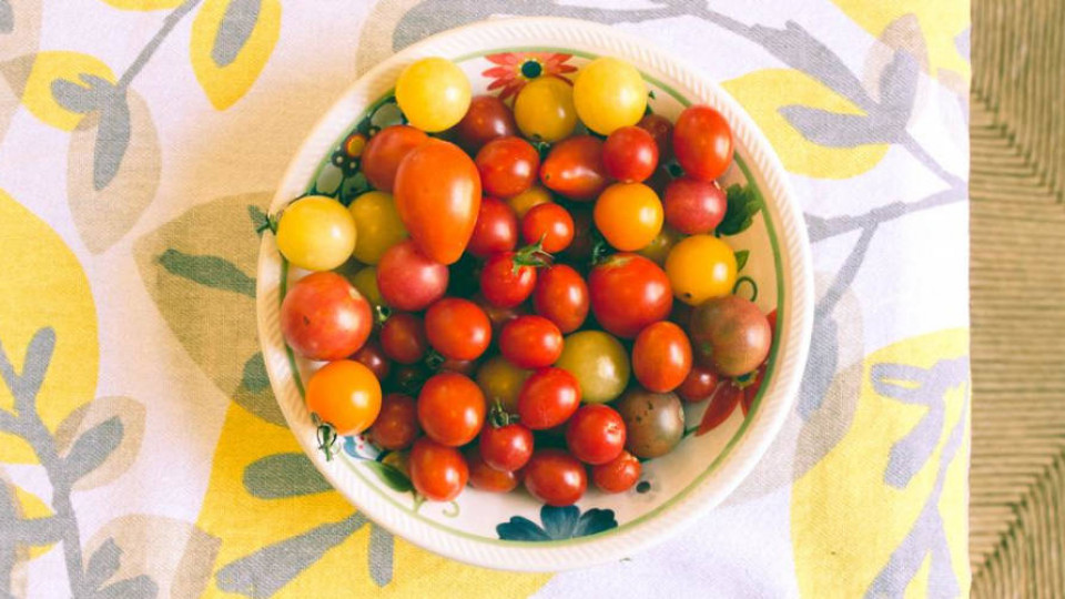 Pomidory 022