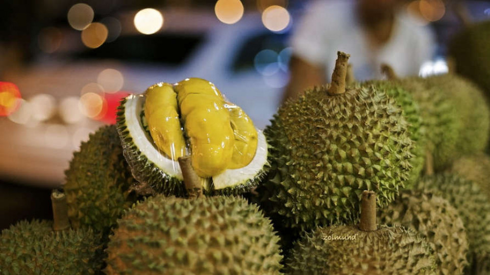 Durian 022