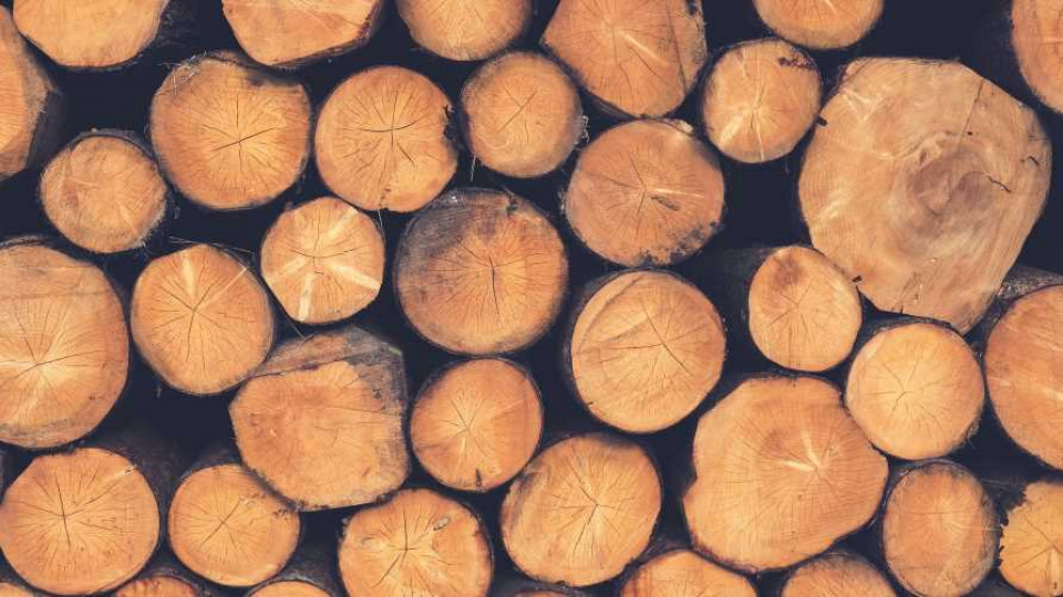 indeksy cen drewna 2021 2