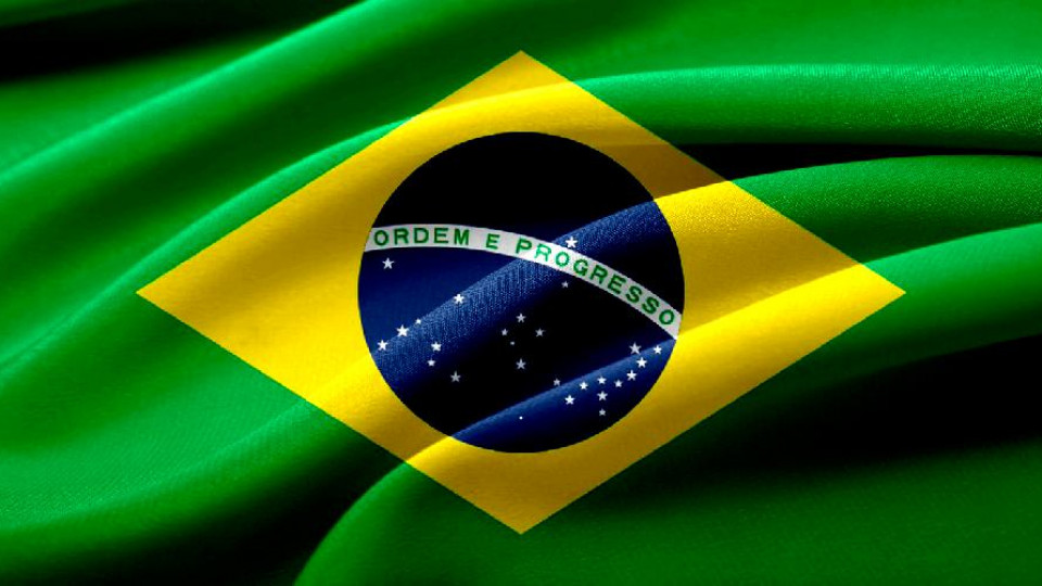 brazylisjka kaczka marka premium 