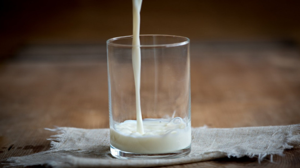 ARiMR wsparcie mleko 