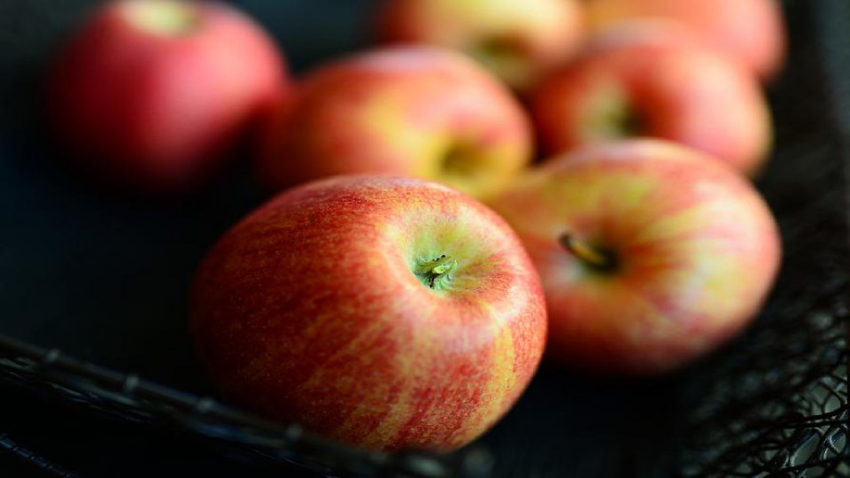 mołdawskie jabłka eksport