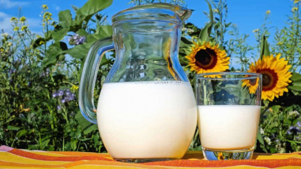 Ceny mleka 0212