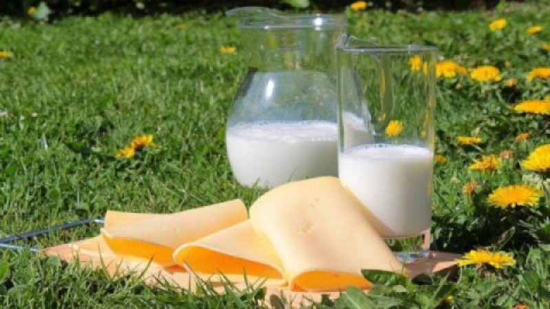 Eksport produktów mlecznych