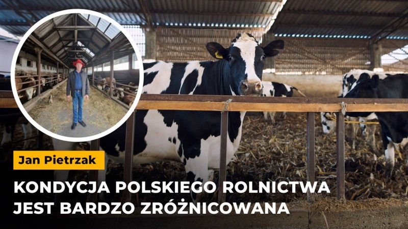 Kondycja polskiego rolnictwa