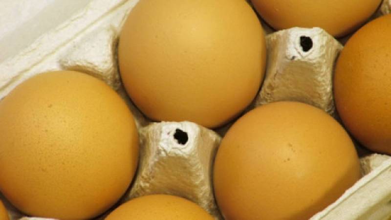 Uwaga! Jaja z salmonellą w sieci sklepów Biedronka