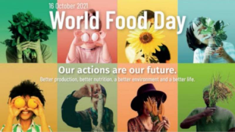 Światowy Dzień Żywności