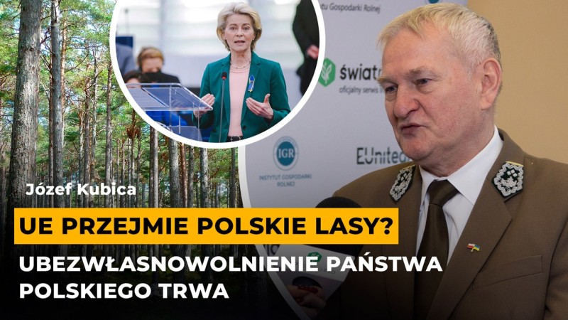 polskie lasy
