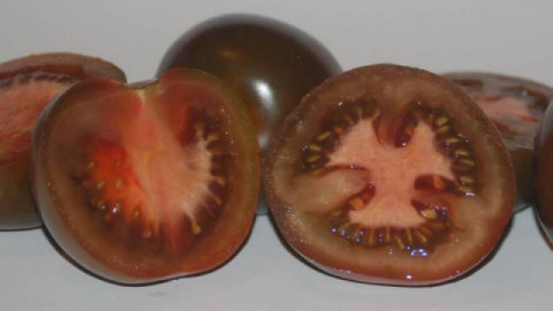 Pomidor Kumato 