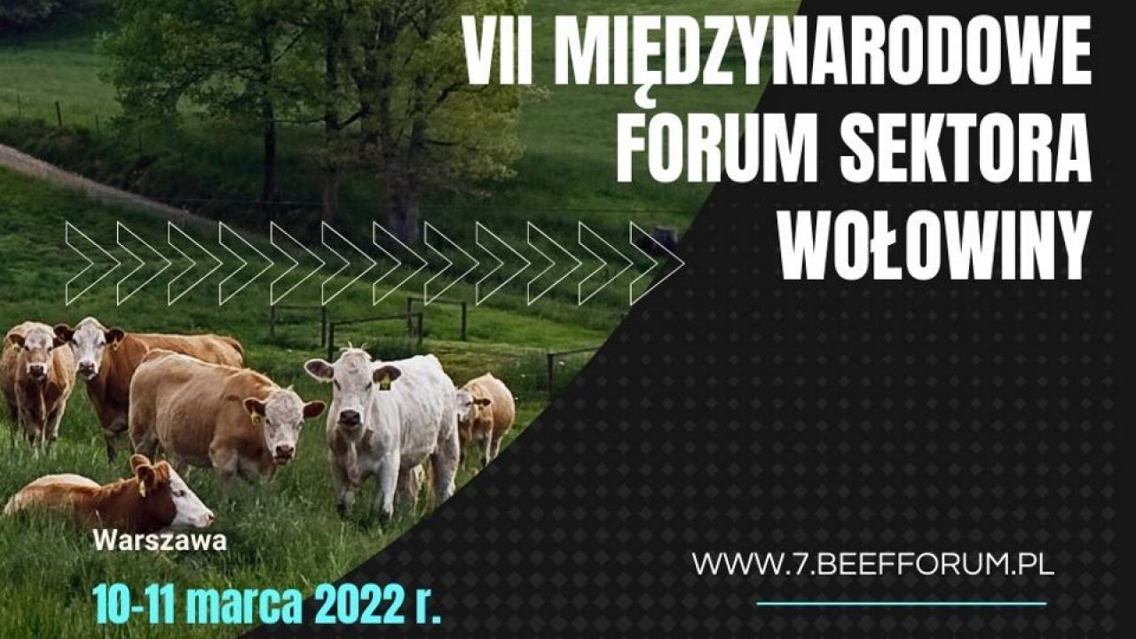 VII Forum Sektora Wołowiny