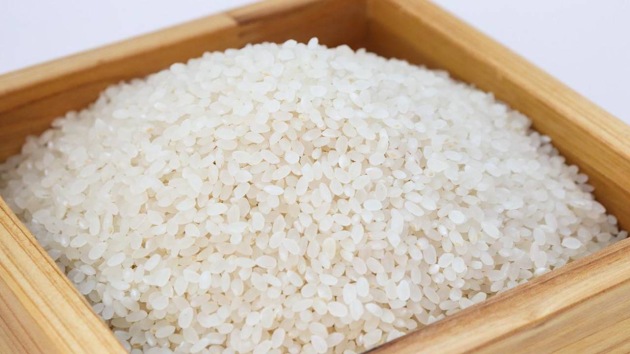 Ceny ryżu