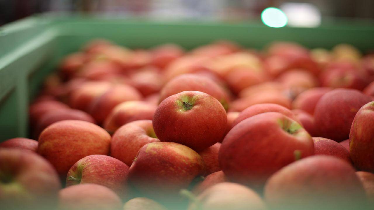 Holenderski rynek jabłek