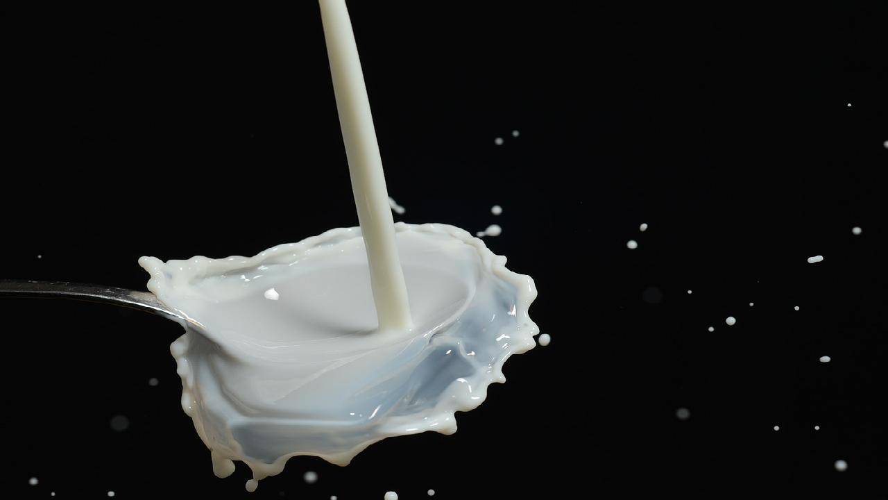 produkcja mleka