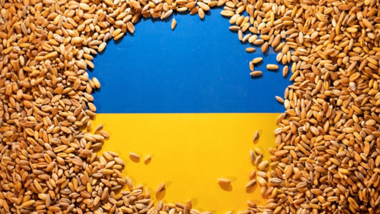 zakaz importu zboża z Ukrainy