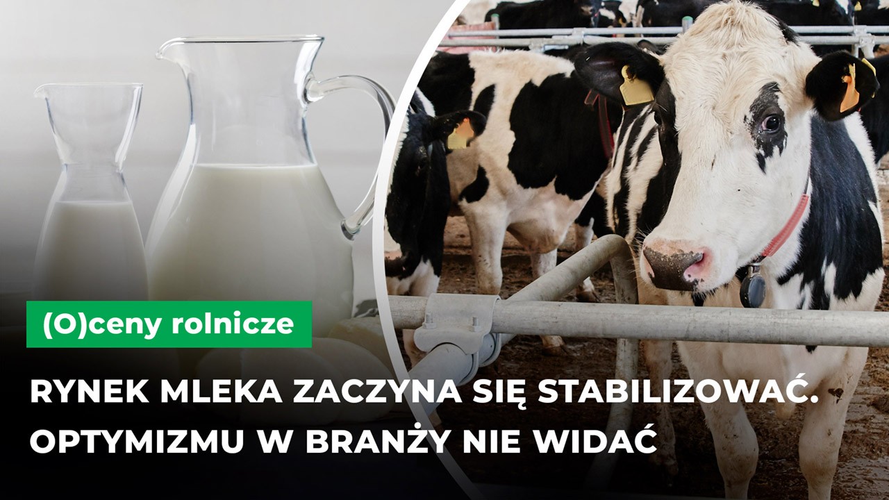 Rynek mleka