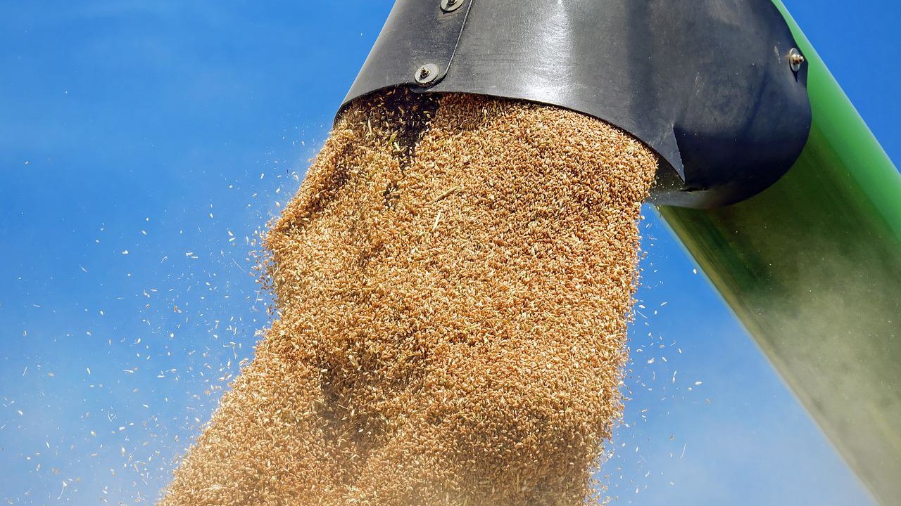 zakaz wprowadzania zbóż z Ukrainy