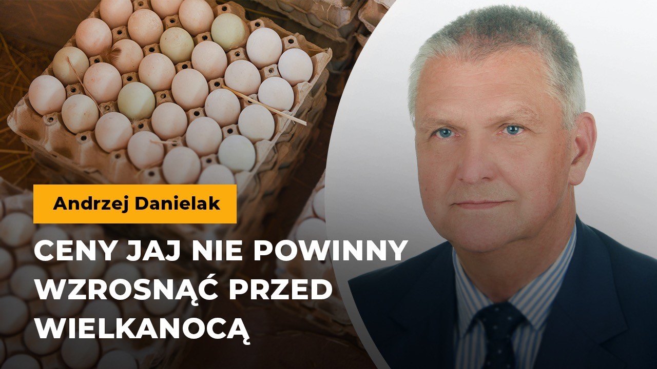 Ceny jaj
