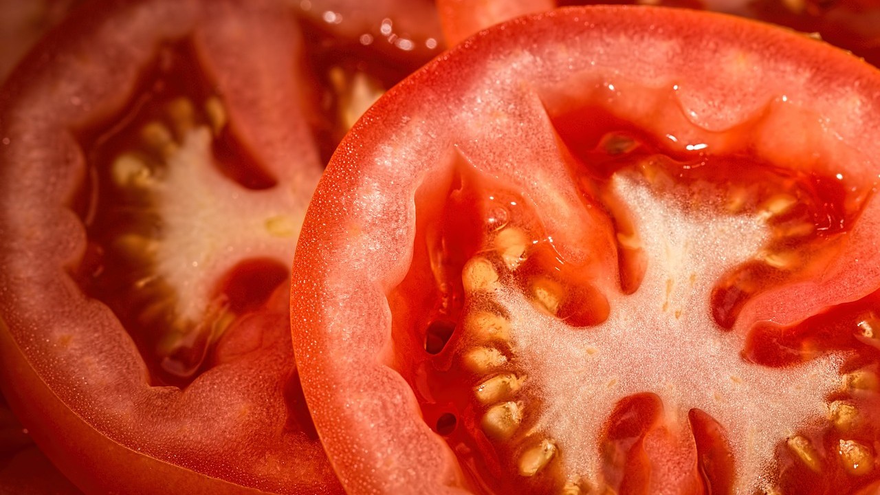 eksport pomidorów
