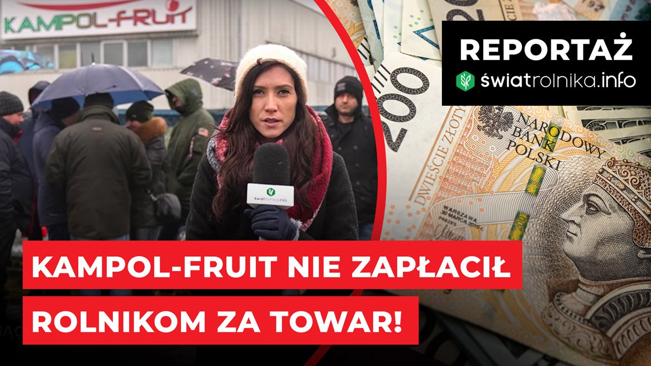 Kampol-Fruit