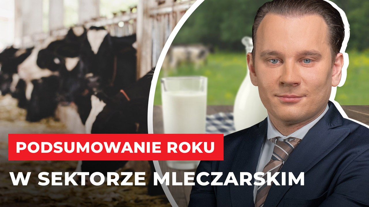 rynek mleka malczewski