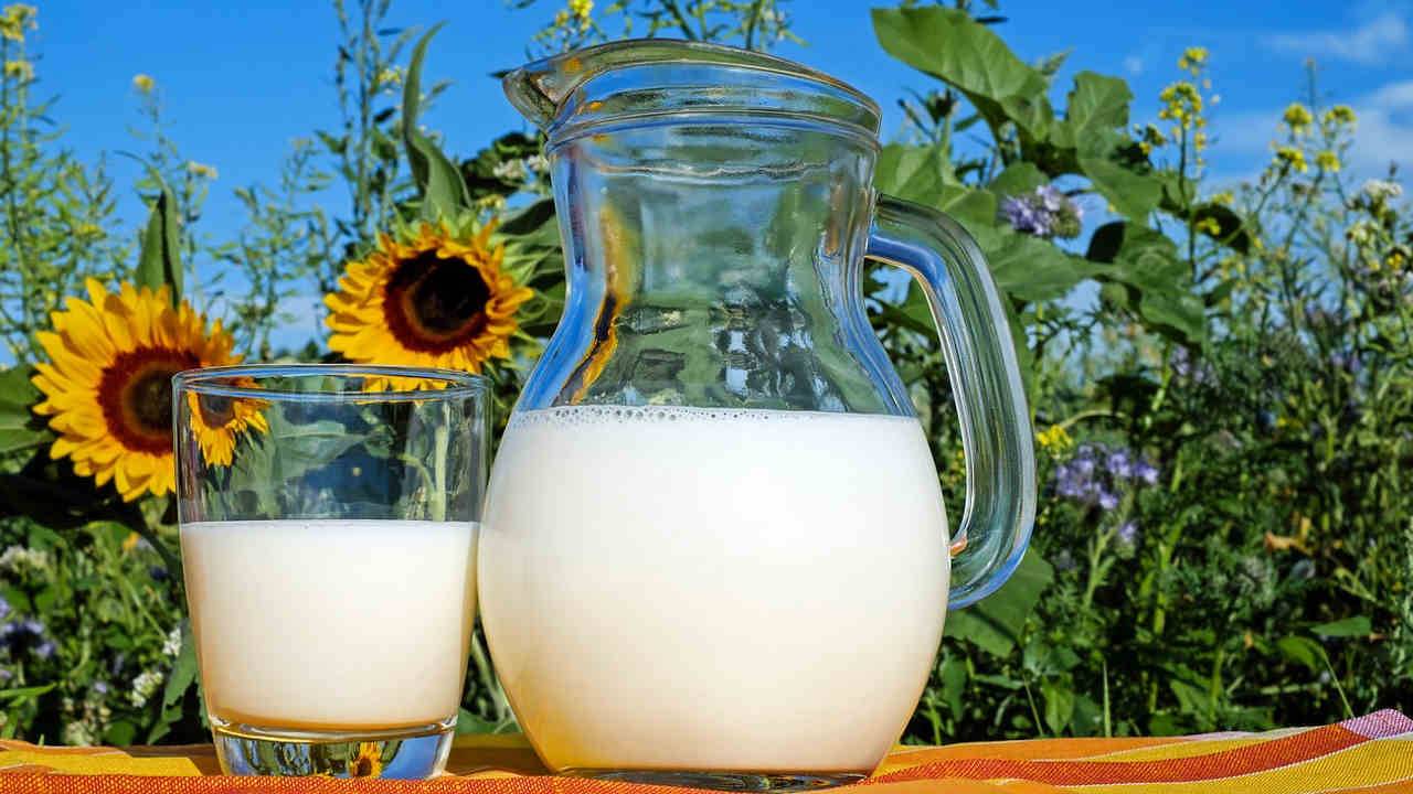 ukraińskie mleczarstwo