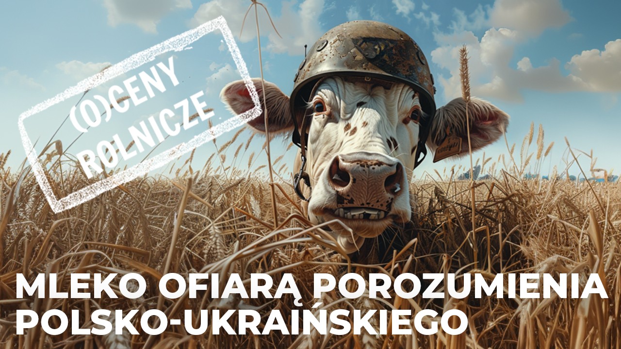 mleko ofiarą porozumienia polsko ukraińskiego