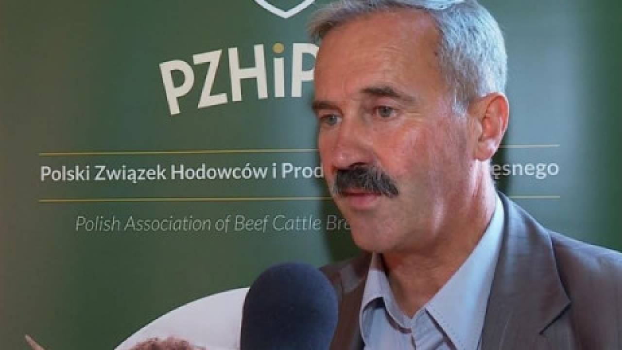 Skarzyński (PZHiPB): Produkujemy w Polsce wołowinę najwyższej jakości