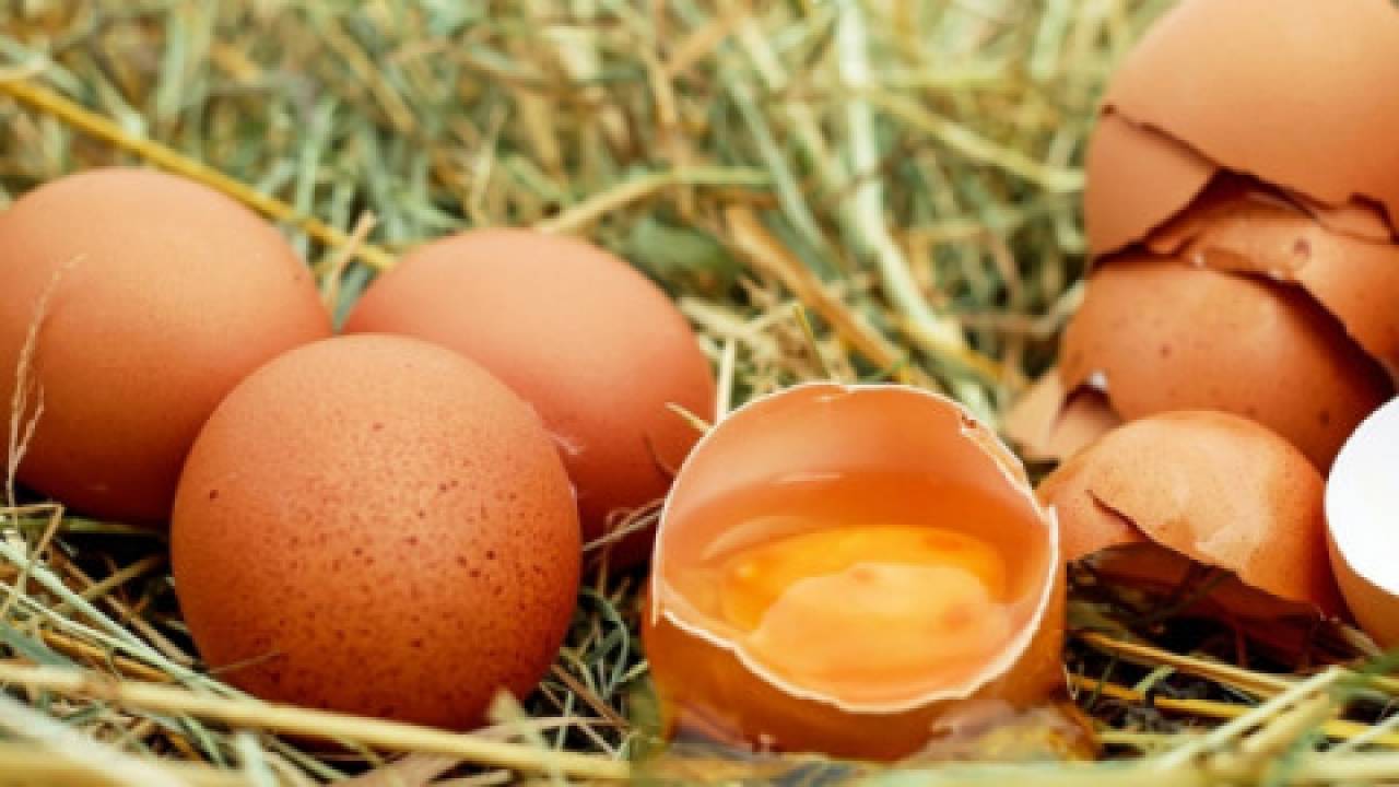 Polskie jajka z salmonellą trafiły do kilku państw UE?
