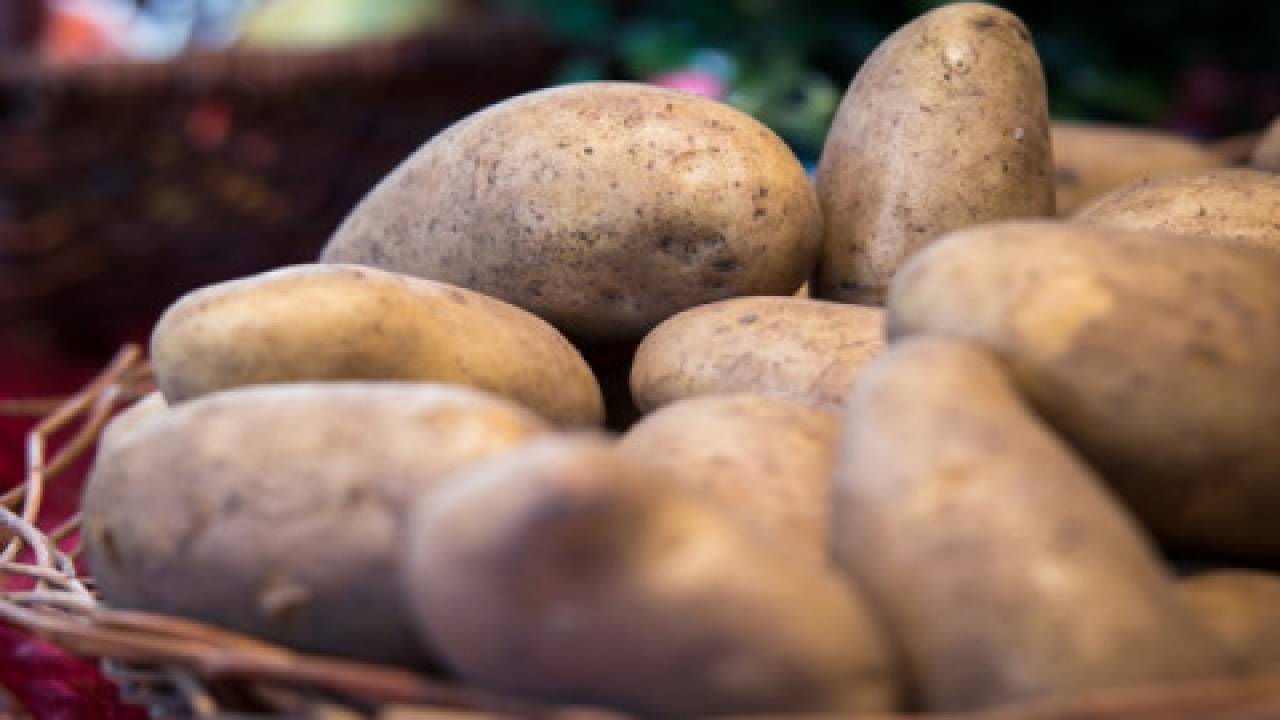 Czy uprawa ziemniaków jest opłacalna?