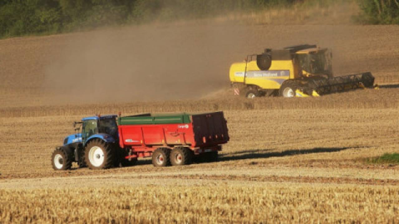 Wkrótce nabór wniosków na 100 tys. zł. dotacji dla młodych rolników