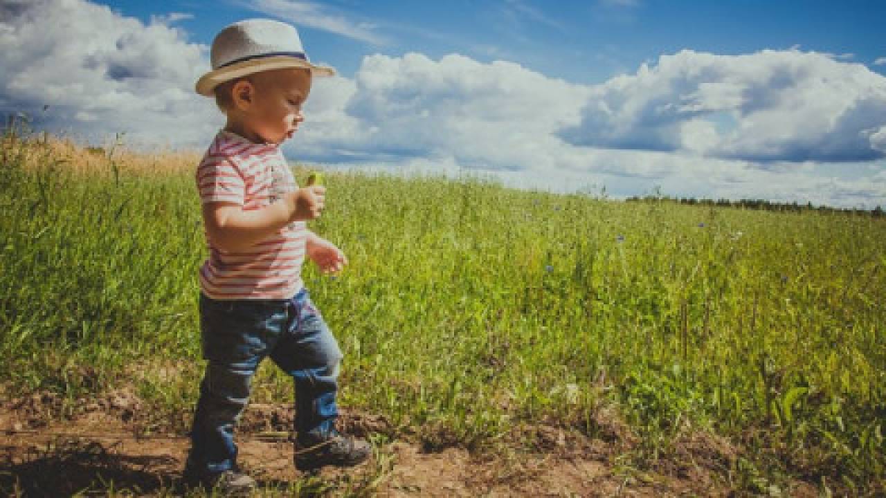 MRiRW: Rolniku ubezpiecz swoje dziecko