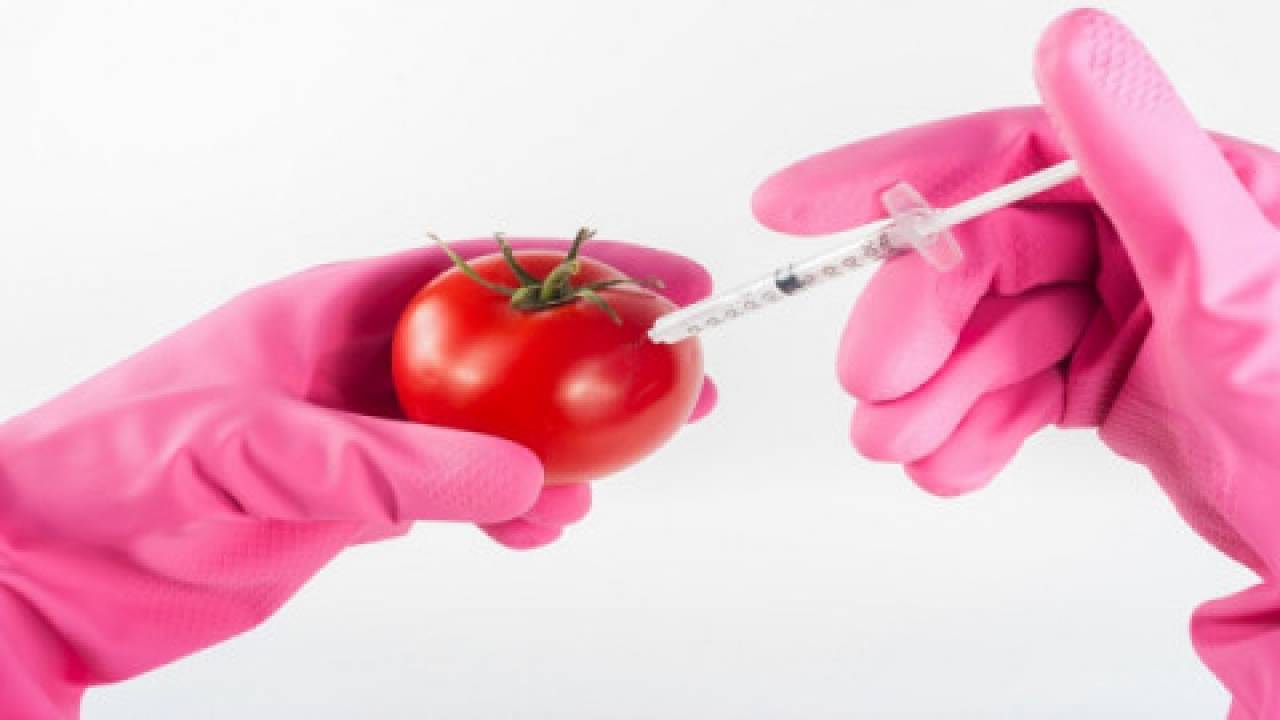 Co dalej z GMO?
