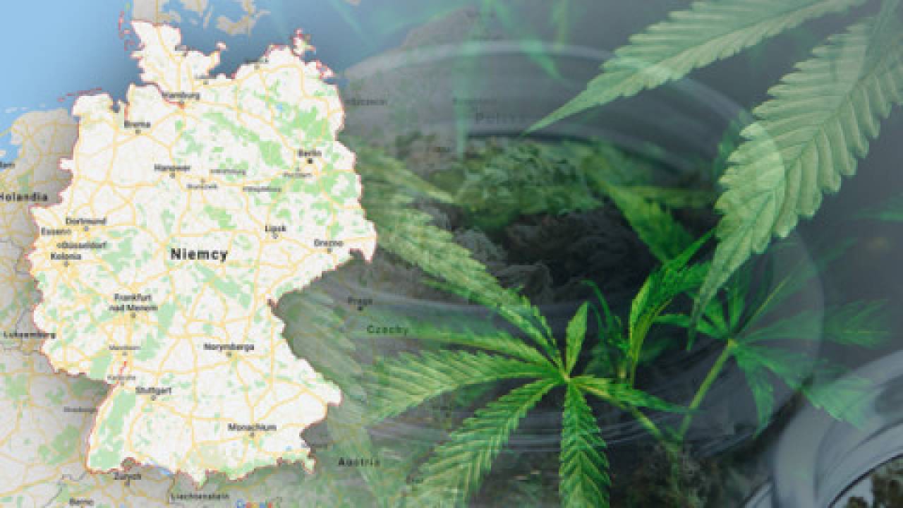 Konopie! Od stycznia do kwietnia Niemcy importowały blisko 750 kg medycznej marihuany