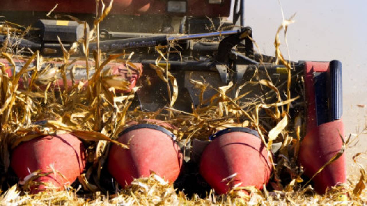 Raport: bez zmian polskie rolnictwo nie będzie konkurencyjne w Unii