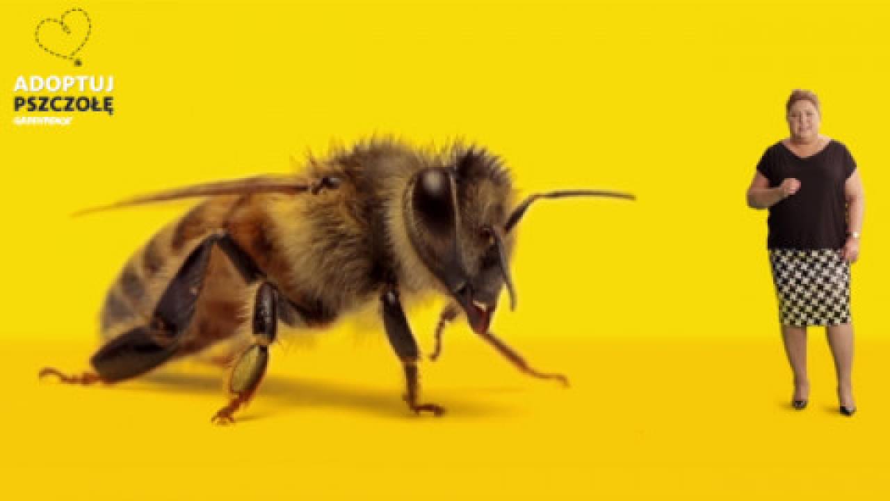 Wirtualne pszczoły i Greenpeace, czyli kolejne abstrakcje tzw. ekologów. 2 zł za jednego owada…