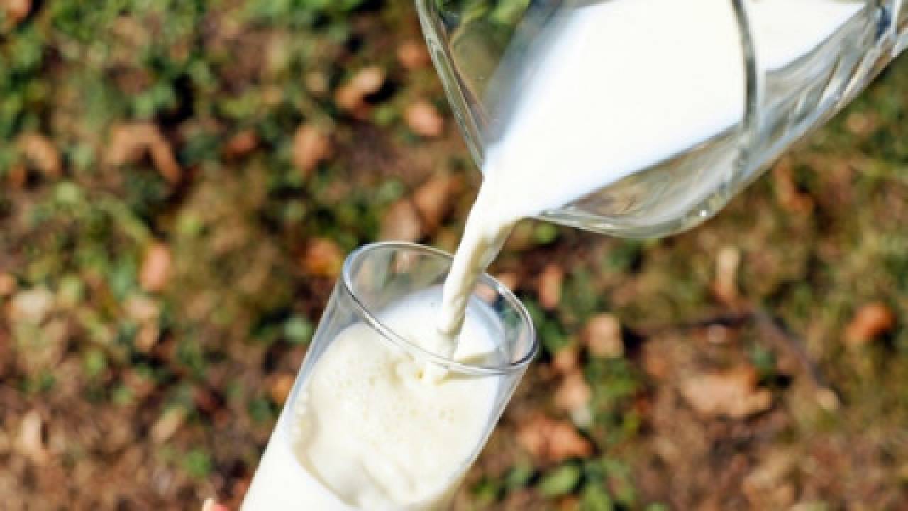 Sektor przetwórstwa mlecznego