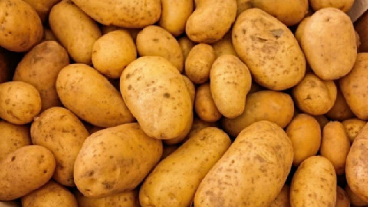 Odmiany ziemniaków