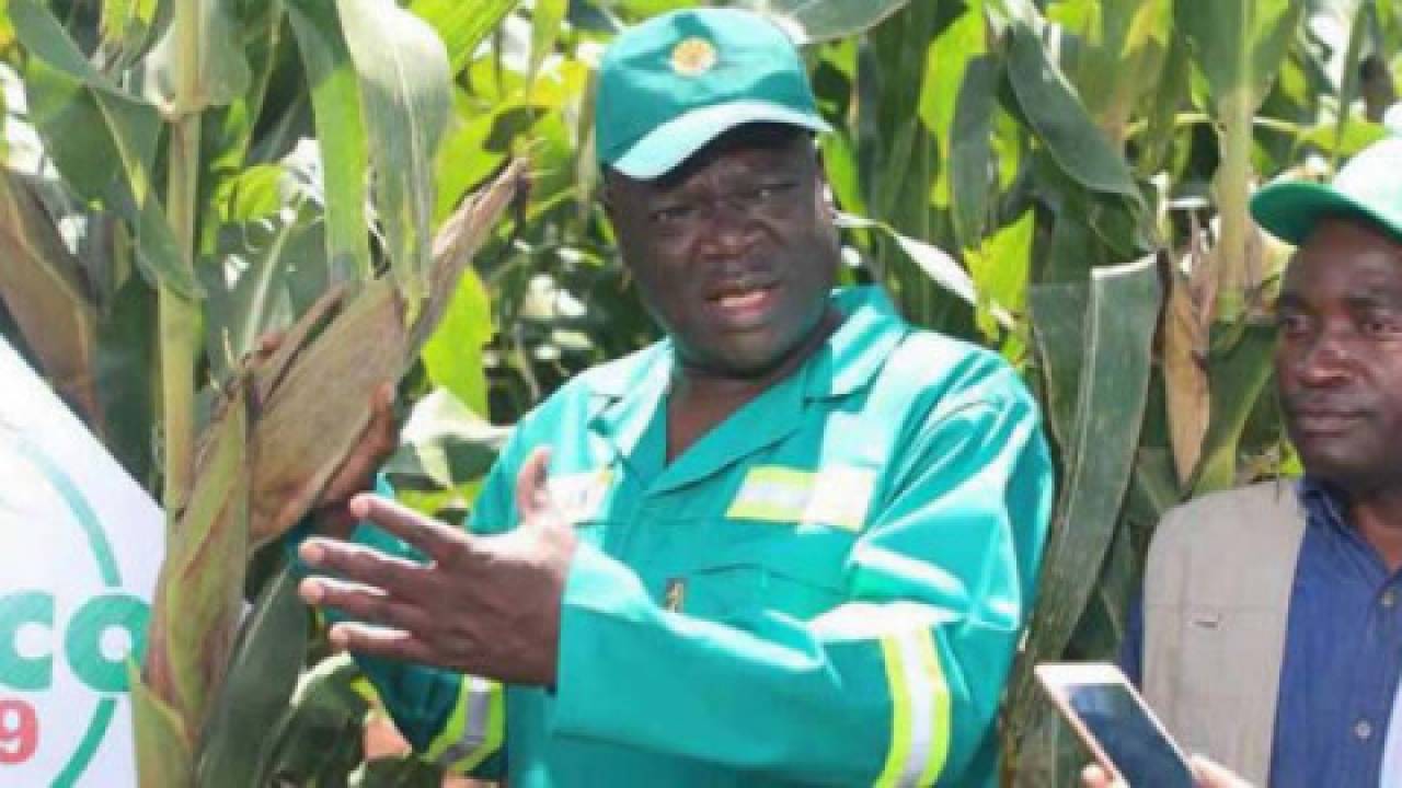 Minister rolnictwa Zimbabwe