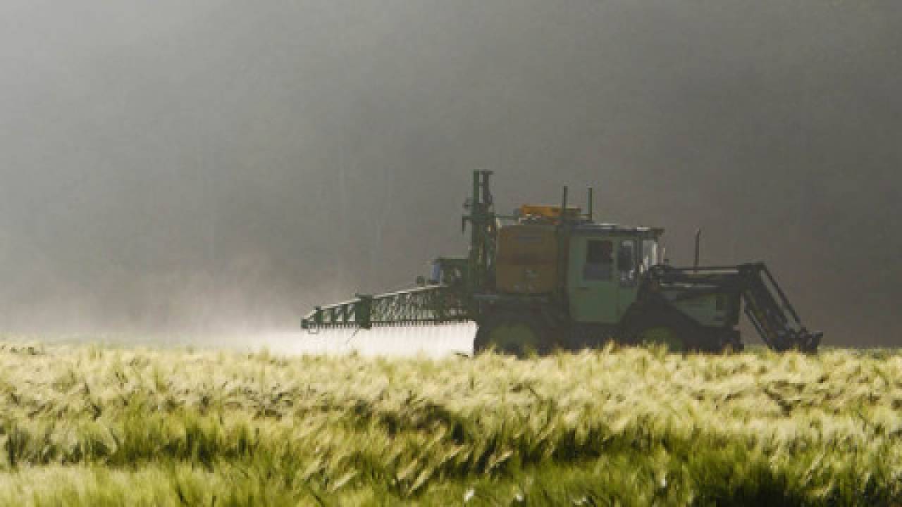 Czy glifosat jest rakotwórczy? Spór o związek chemiczny koncernu Monsanto