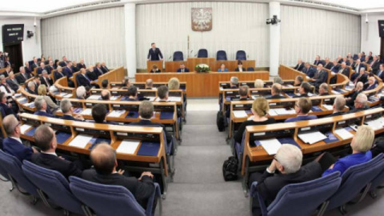 Piątka dla zwierząt
