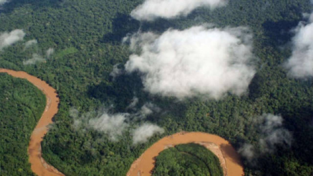 Amazonii